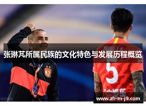 张琳芃所属民族的文化特色与发展历程概览