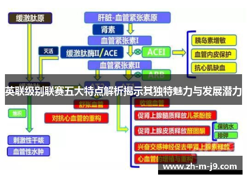 英联级别联赛五大特点解析揭示其独特魅力与发展潜力