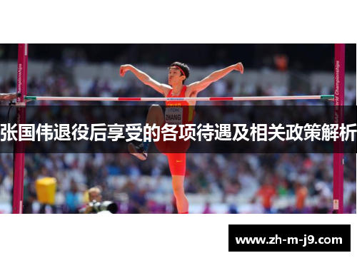 张国伟退役后享受的各项待遇及相关政策解析