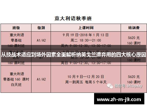 从技战术适应到场外因素全面解析纳英戈兰遭弃用的四大核心原因