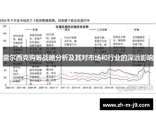 雷尔西克购筹战略分析及其对市场和行业的深远影响
