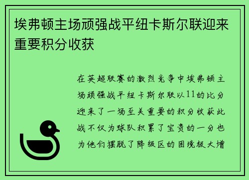 埃弗顿主场顽强战平纽卡斯尔联迎来重要积分收获